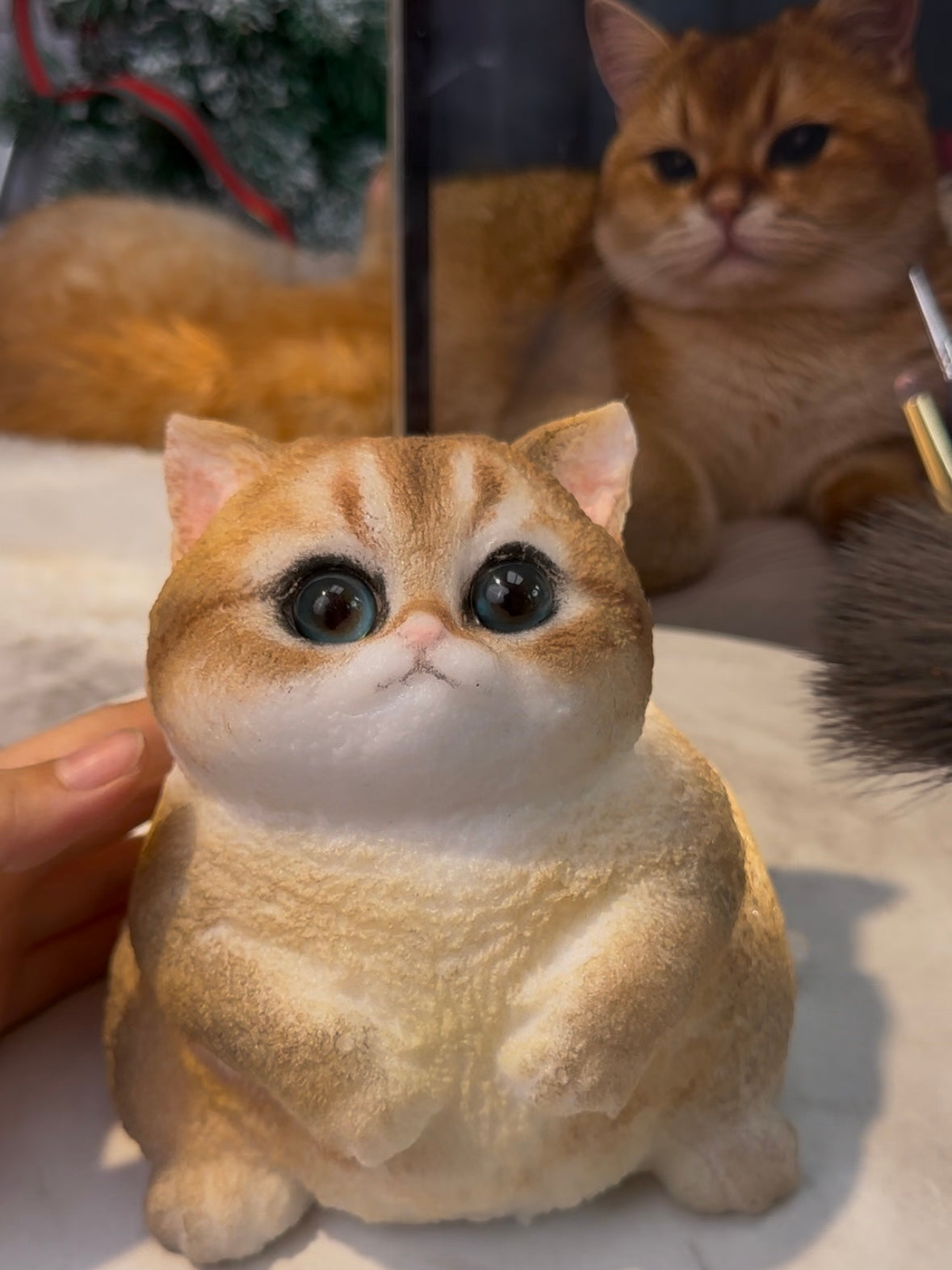 A Golden Gradient Fat Cat With Special Eyes.