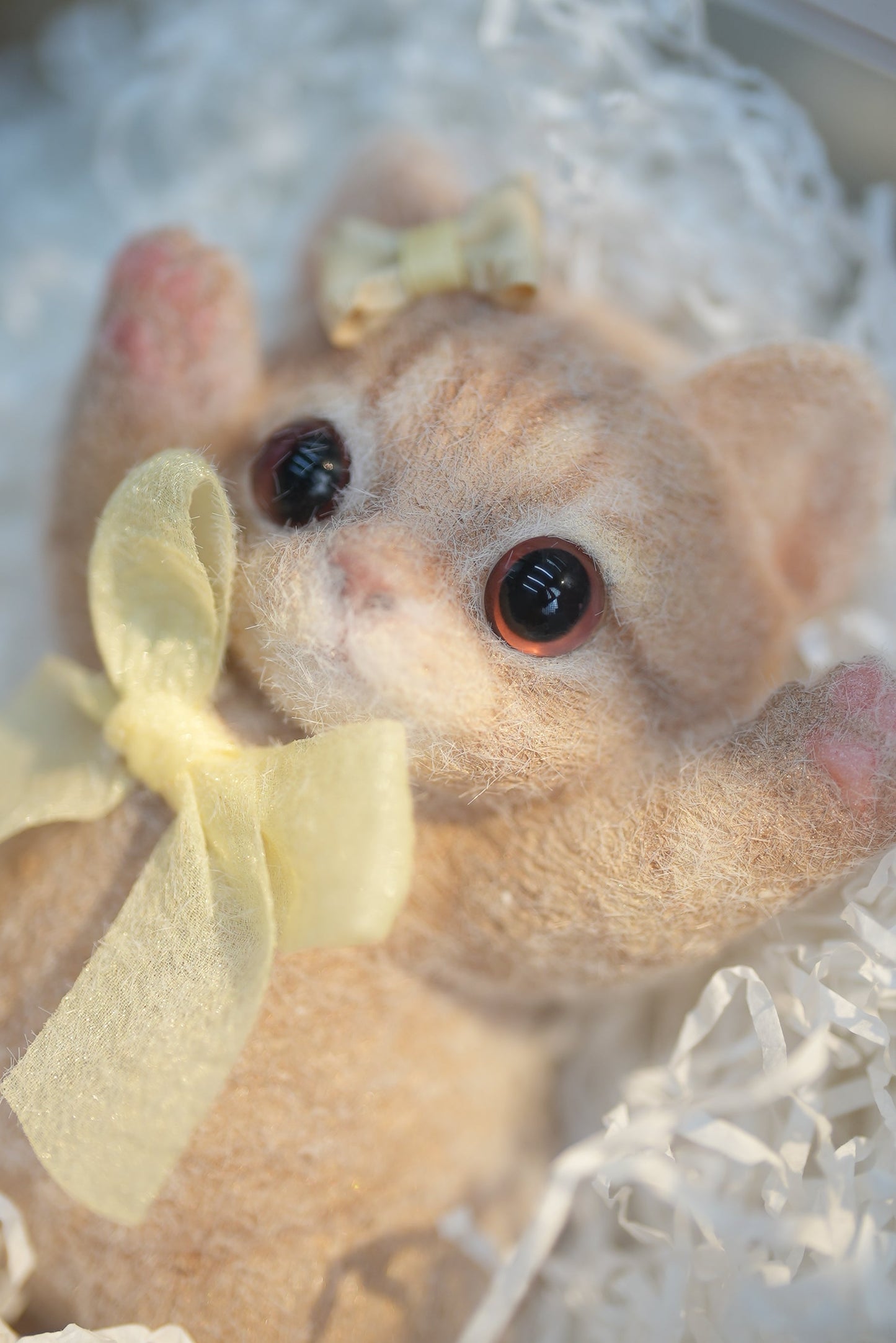 Lovely Ginger Squishy Cat with Yellow Bows