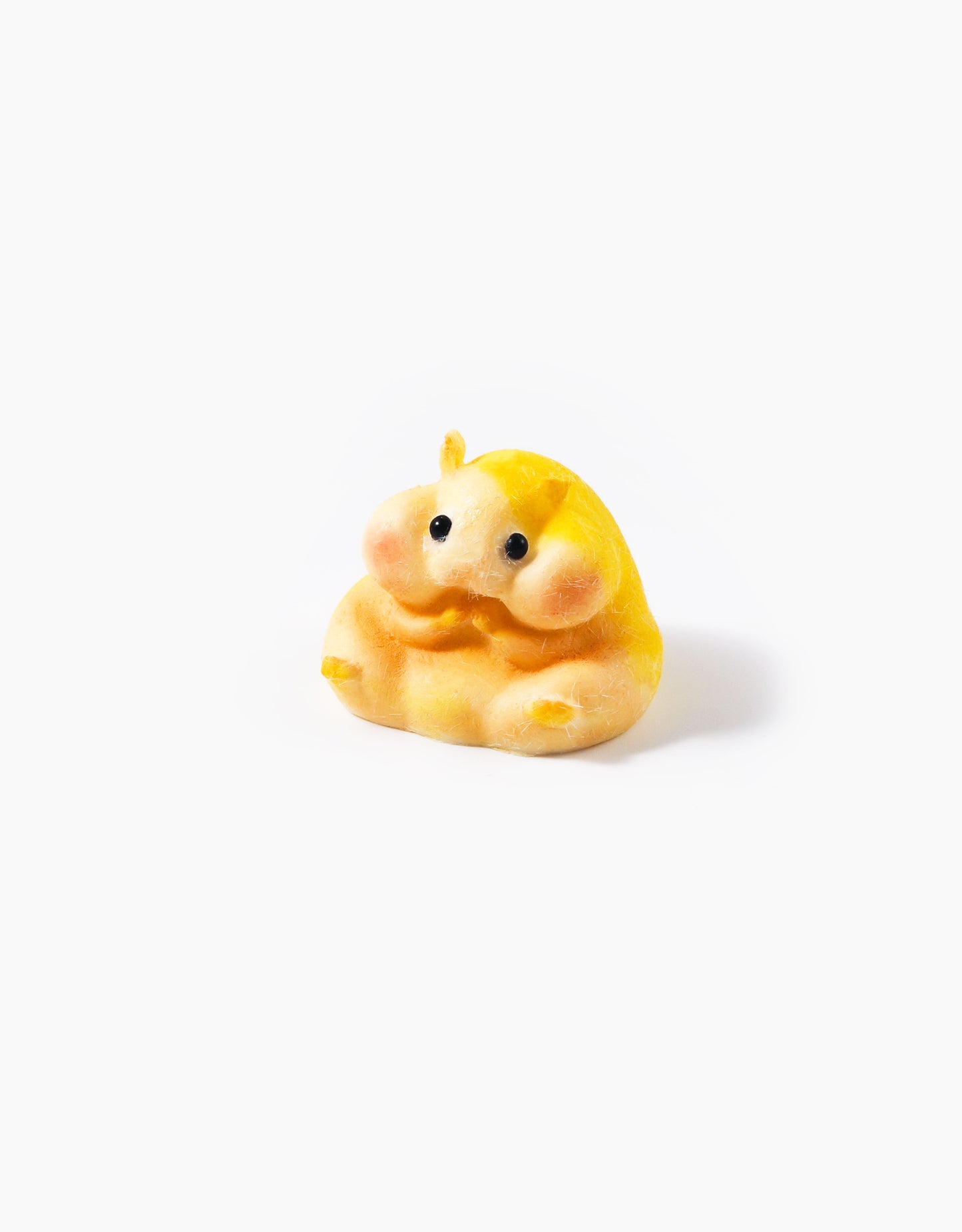 Hamster Series Blind Bag Squishy