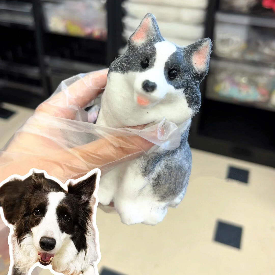 Dog Squishy Customization