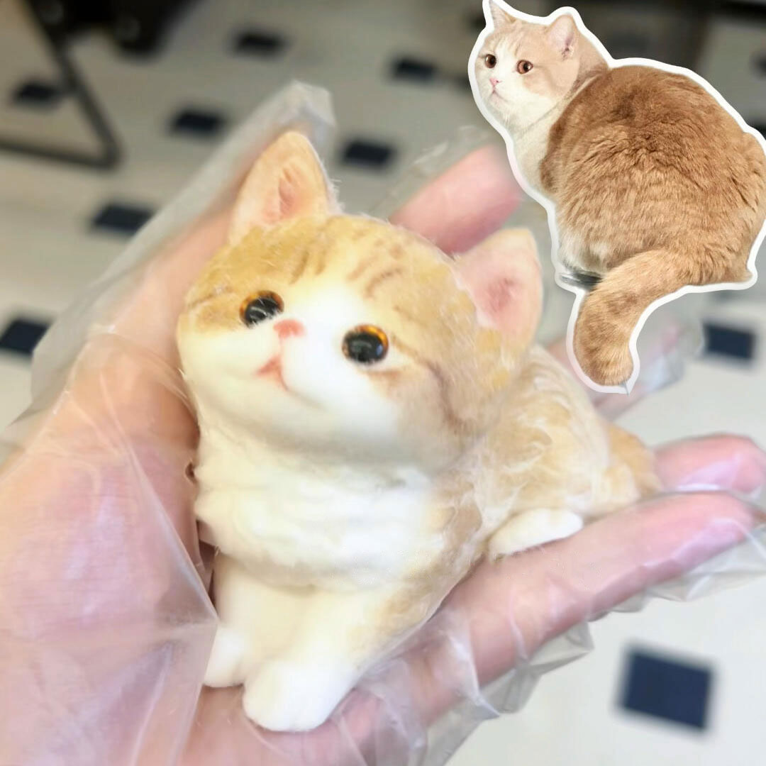 Cat Squishy Customization